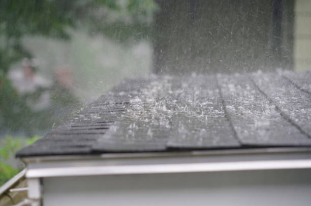 Best Roof Coating and Sealing  in Keego Harbor, MI