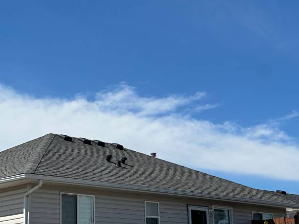 Best Metal Roofing Installation  in Keego Harbor, MI
